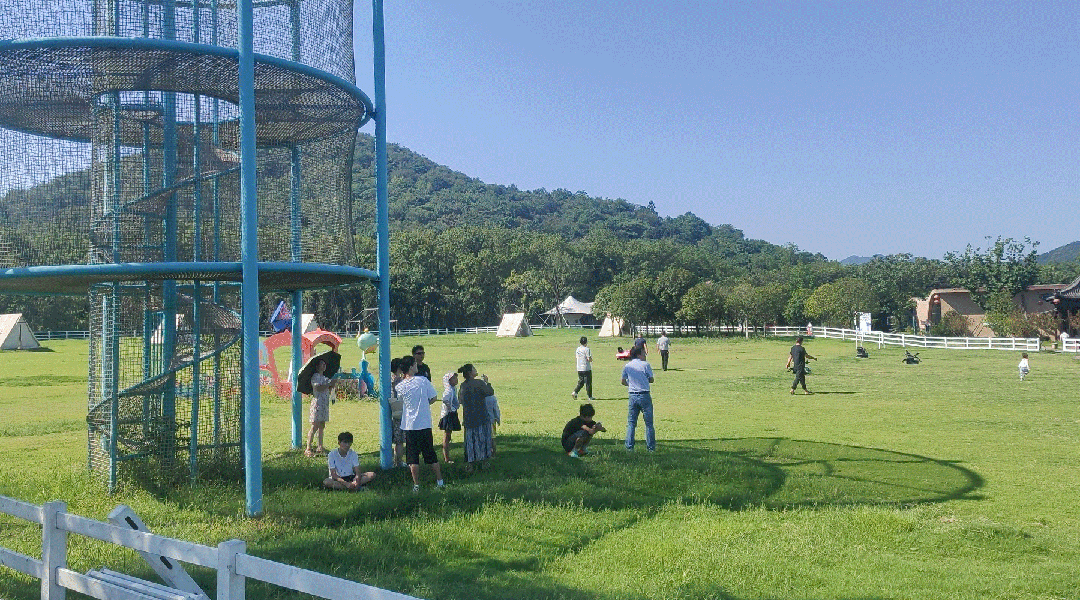 1762392280637546.gif 6405.gif